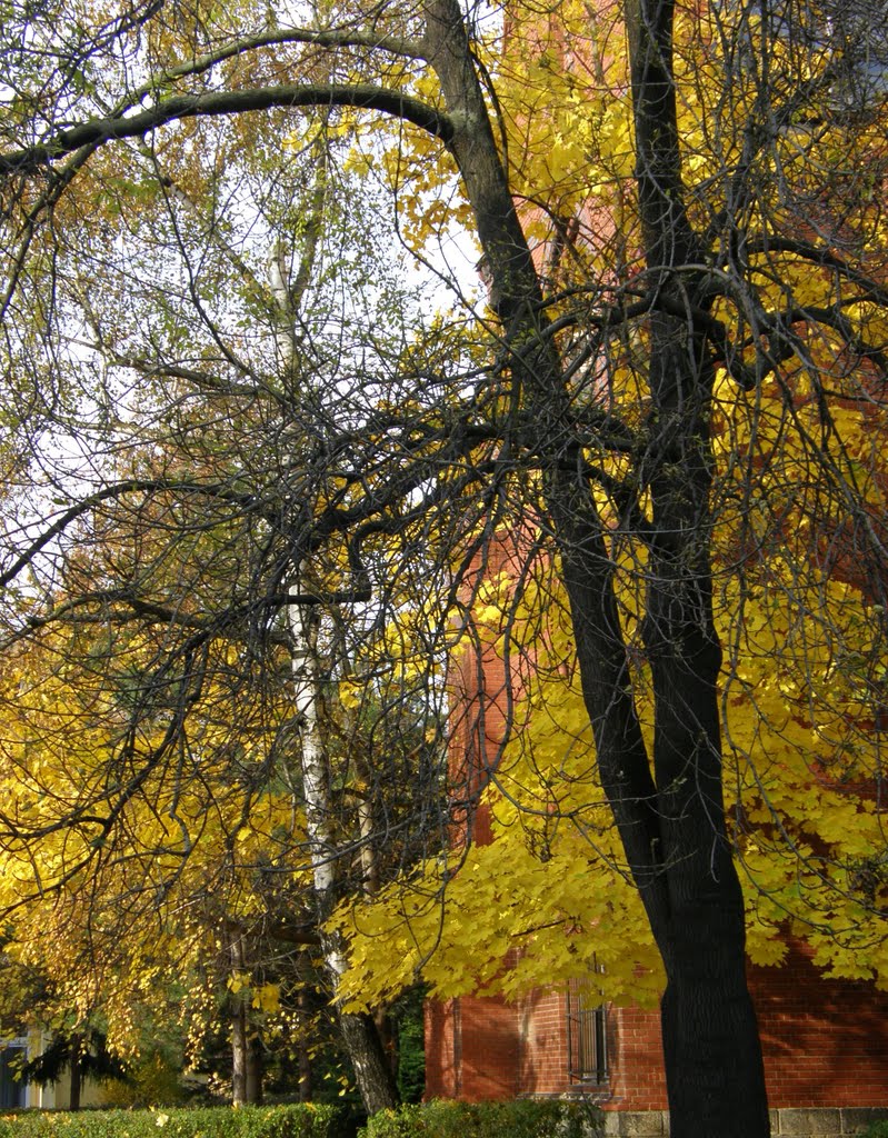 Podzim v Opavě (Autumn in Opava), 46, Опава