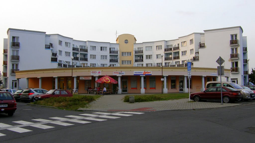 Opava - Druhý domov pro seniory s pečovatelskou službou (Second home for the seniors with nursing service), Опава
