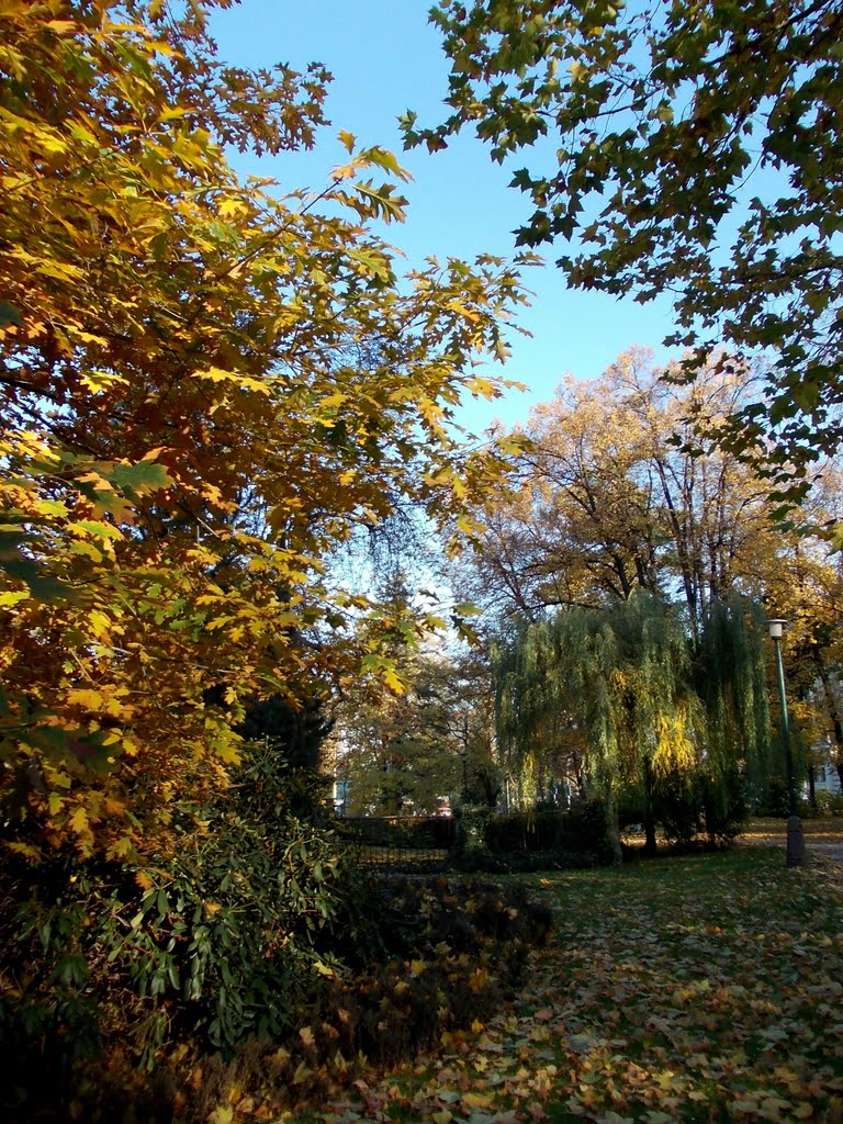 Podzim v opavských parcích (Autumn in parks of Opava), 3, Опава
