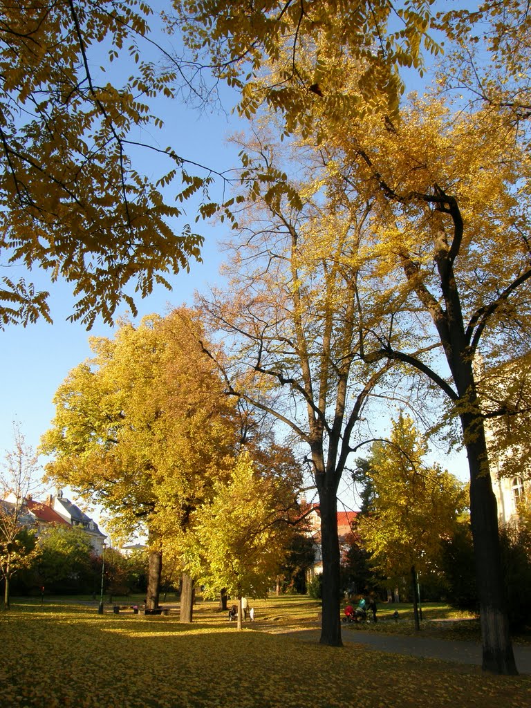 Podzim v opavských parcích (Autumn in parks of Opava), 1, Опава