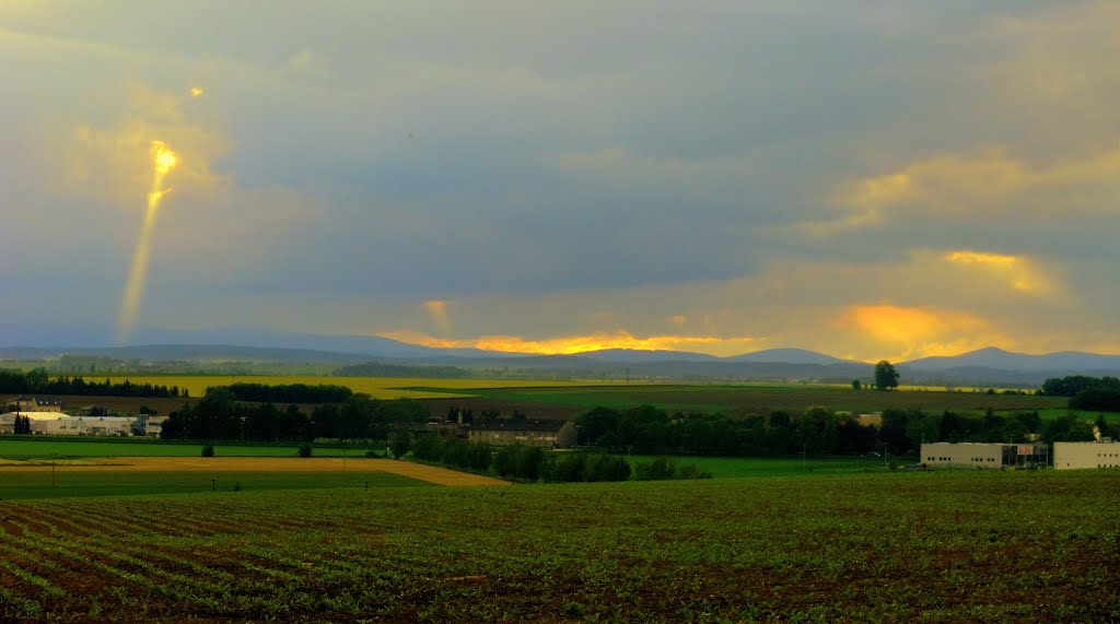Večerní pohled na slezskou krajinu s pohořím Jeseníky (Evening view of the Silesian landscape with Jeseniky Mountains), Czech Republic, Опава