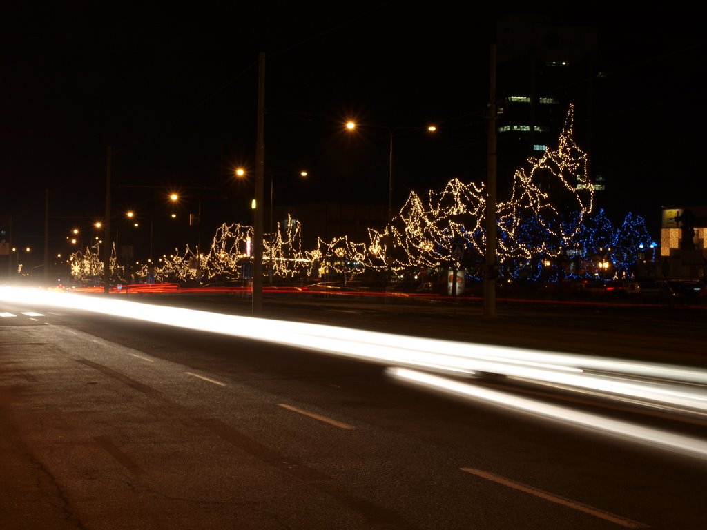 Christmas Lights 2008, Мост