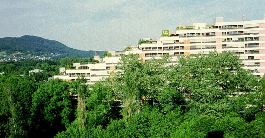Aarau - Telli, Аарау