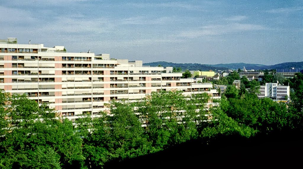 Aarau - Telli, Аарау