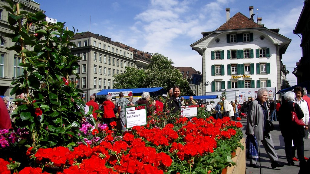 Bern / Bundesplatz / Geranienmarkt, Берн