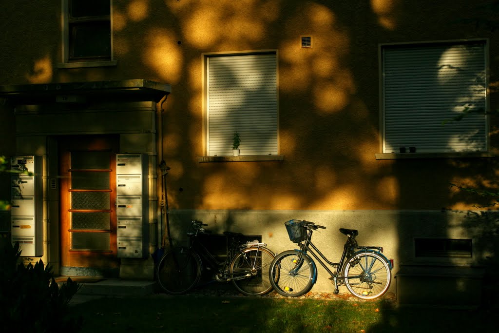 In focus: The City Bike, Берн