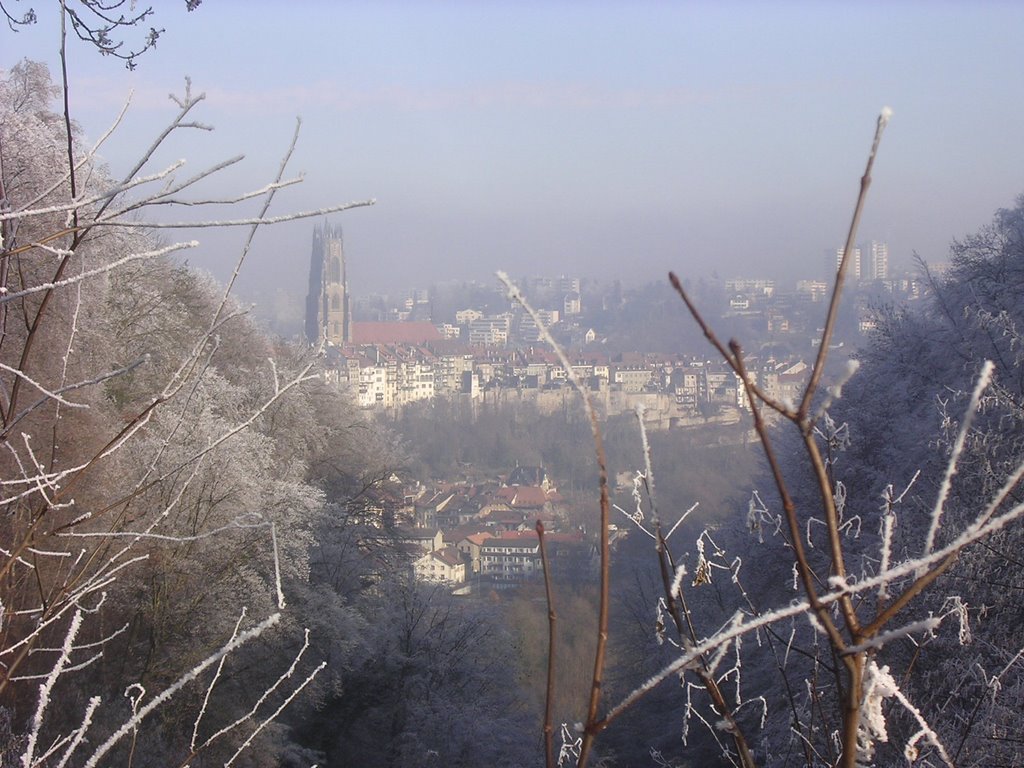 The cathedral of Fribourg seen in winter from the Boulevard de Perolles, Фрейбург