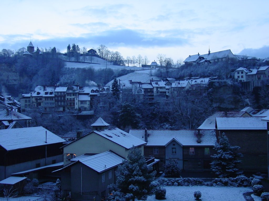 Inverno nella Basseville a Fribourg (scala di blu), Фрейбург