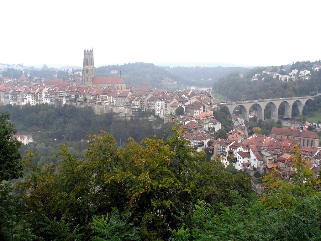 Fribourg-Vue generale, Фрейбург