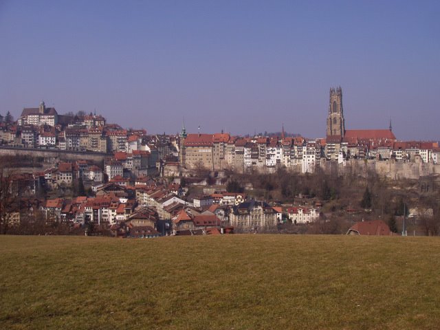 099 Fribourg, Stadtpanorama von Planche, Фрейбург