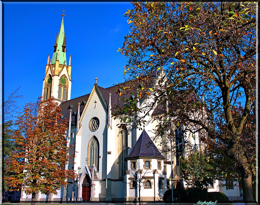 Léglise St. Peter und Paul, Winterthur, Винтертур