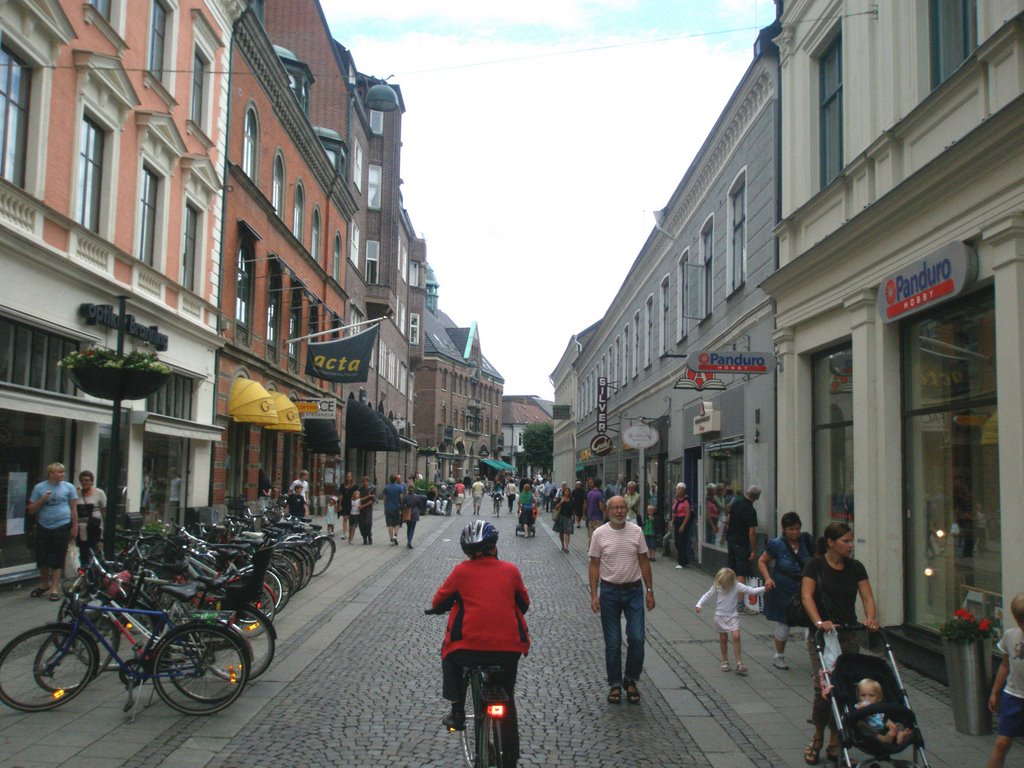 The commercial street Lilla Fiskaregatan in Lund. August 2009., Лунд