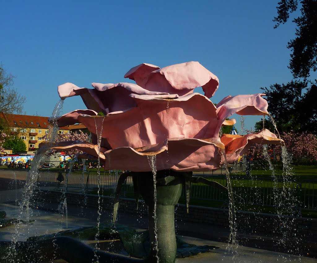 A rose for Panoramio. Folkets Park, Malmö, Мальмё