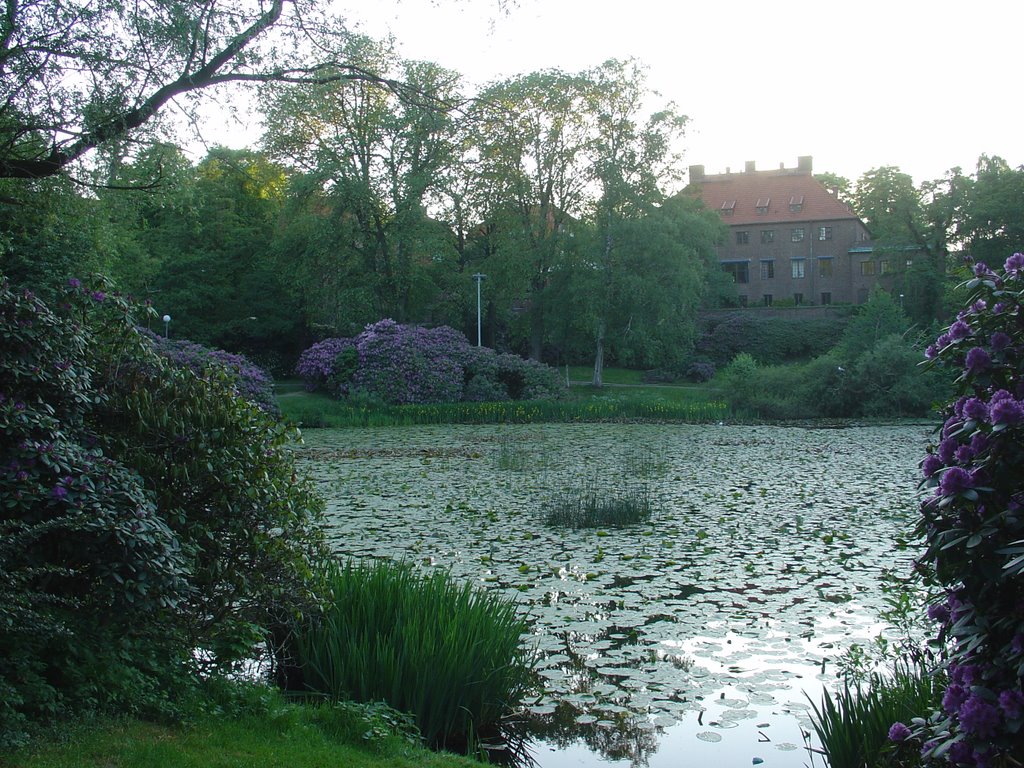 Pond, Гетеборг