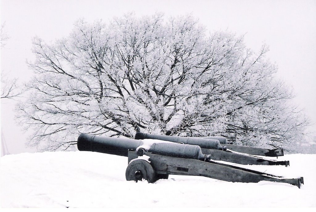 Canons and Snow. ©JucaLodetti, Гетеборг