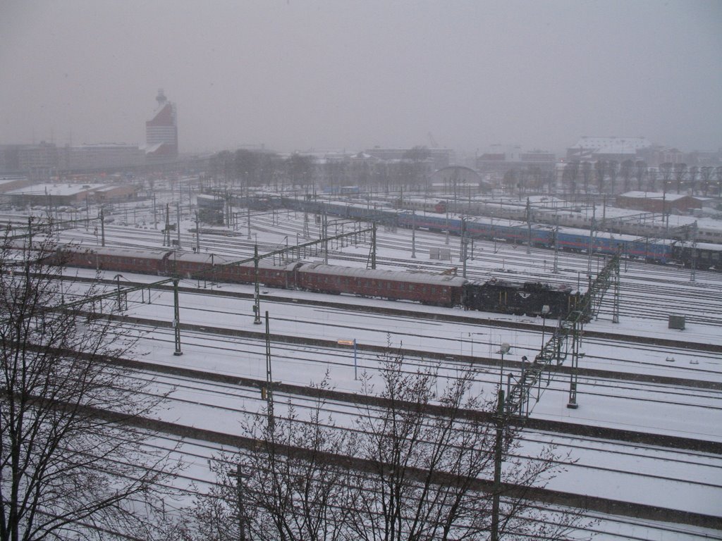 SSnowwing at central Station. ©JucaLodetti, Гетеборг