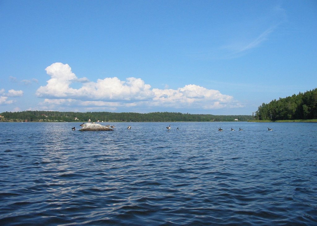 Shoal in Lake Båven, Еребру