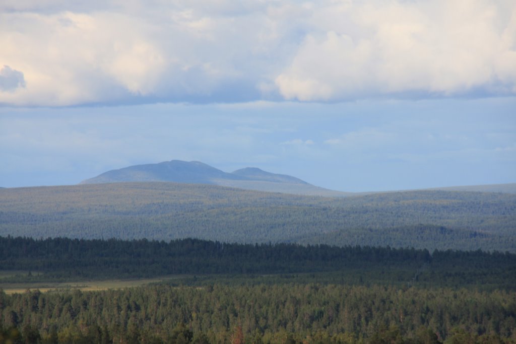 Wälder um Kiruna, Кируна