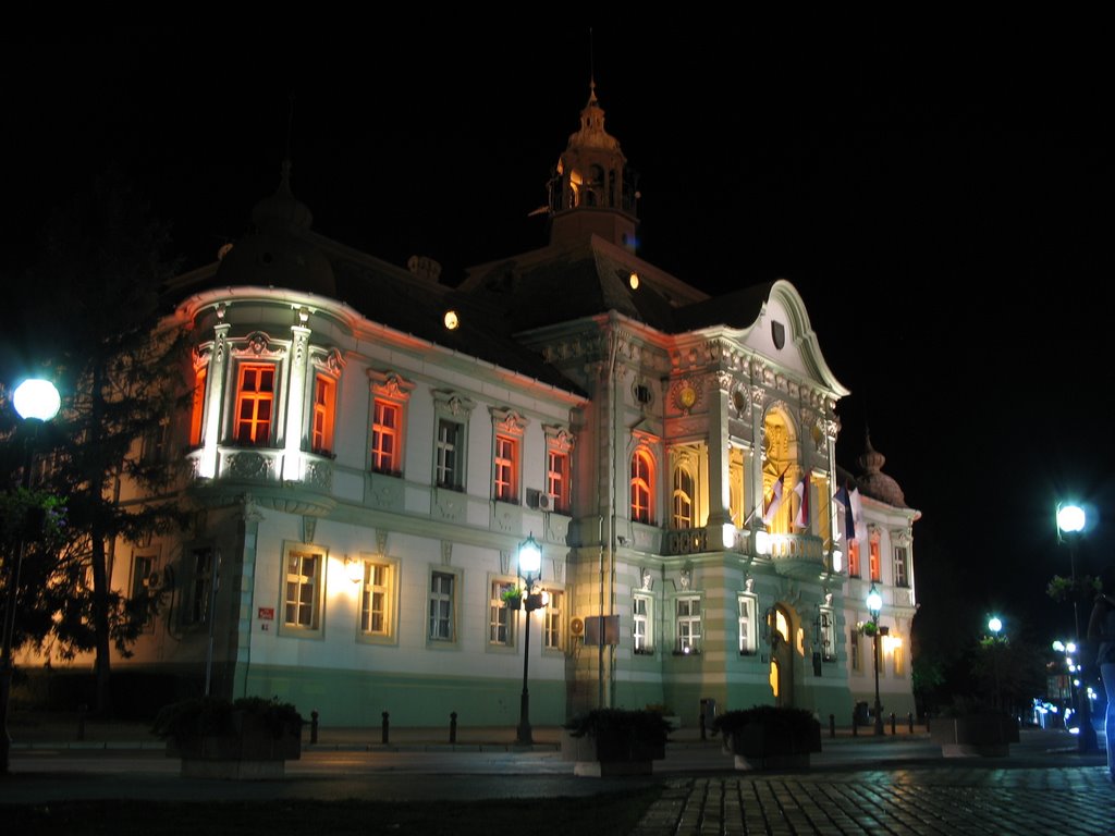 Gradska kuća Zrenjanin_Town hall at night, Зренянин