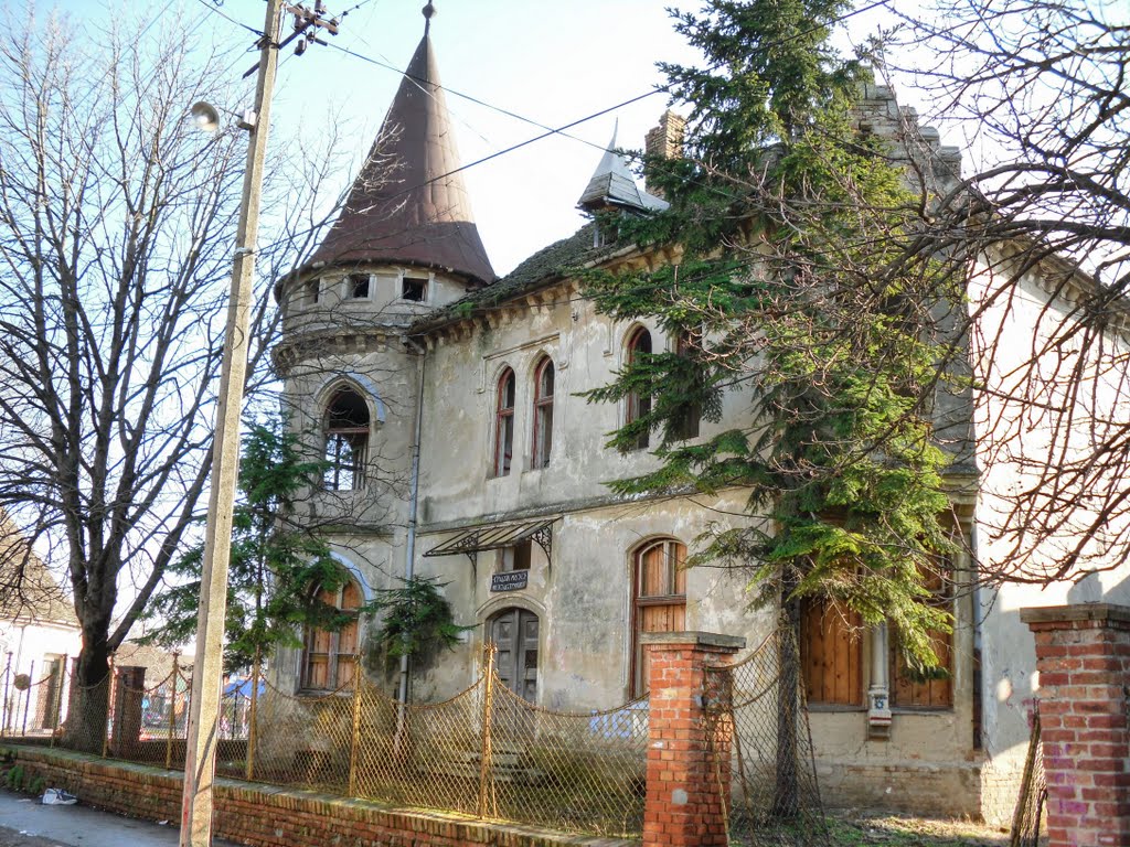 Pinova vila - muzej destrukcije, Зренянин