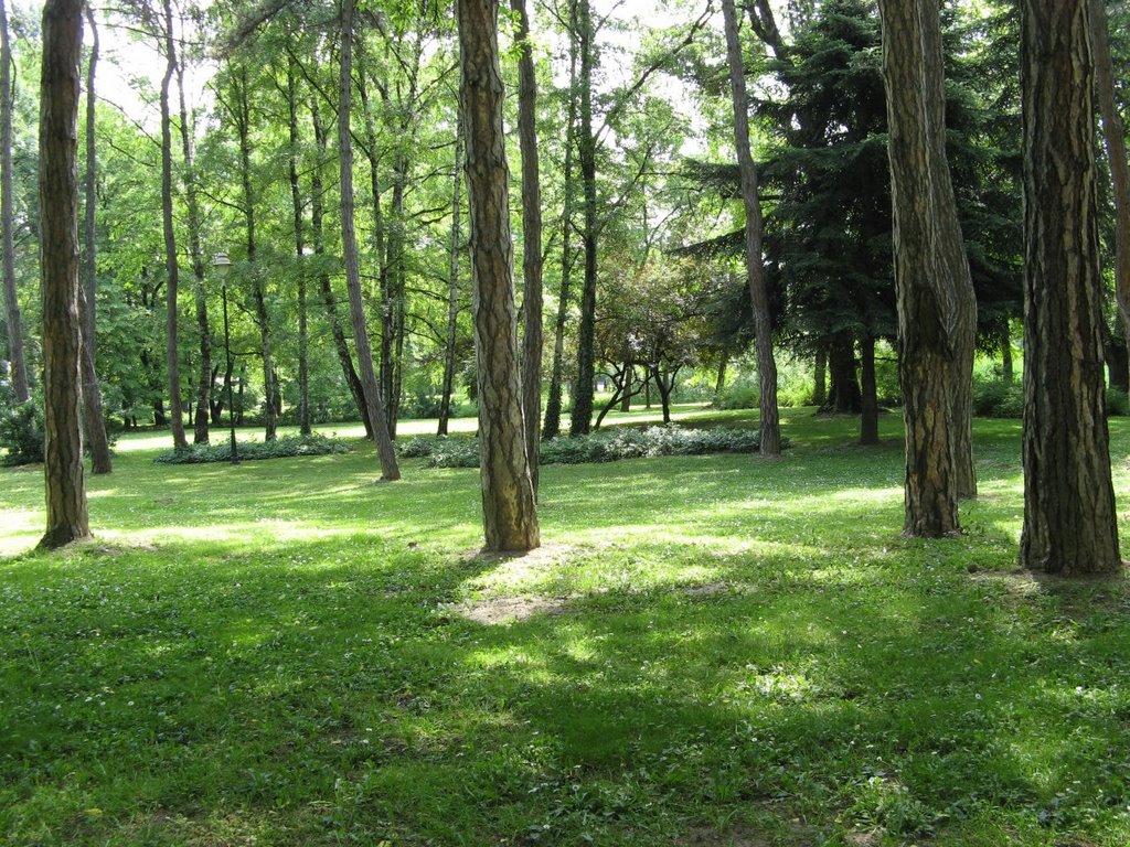 Novi Sad, Futoški Park, Нови-Сад