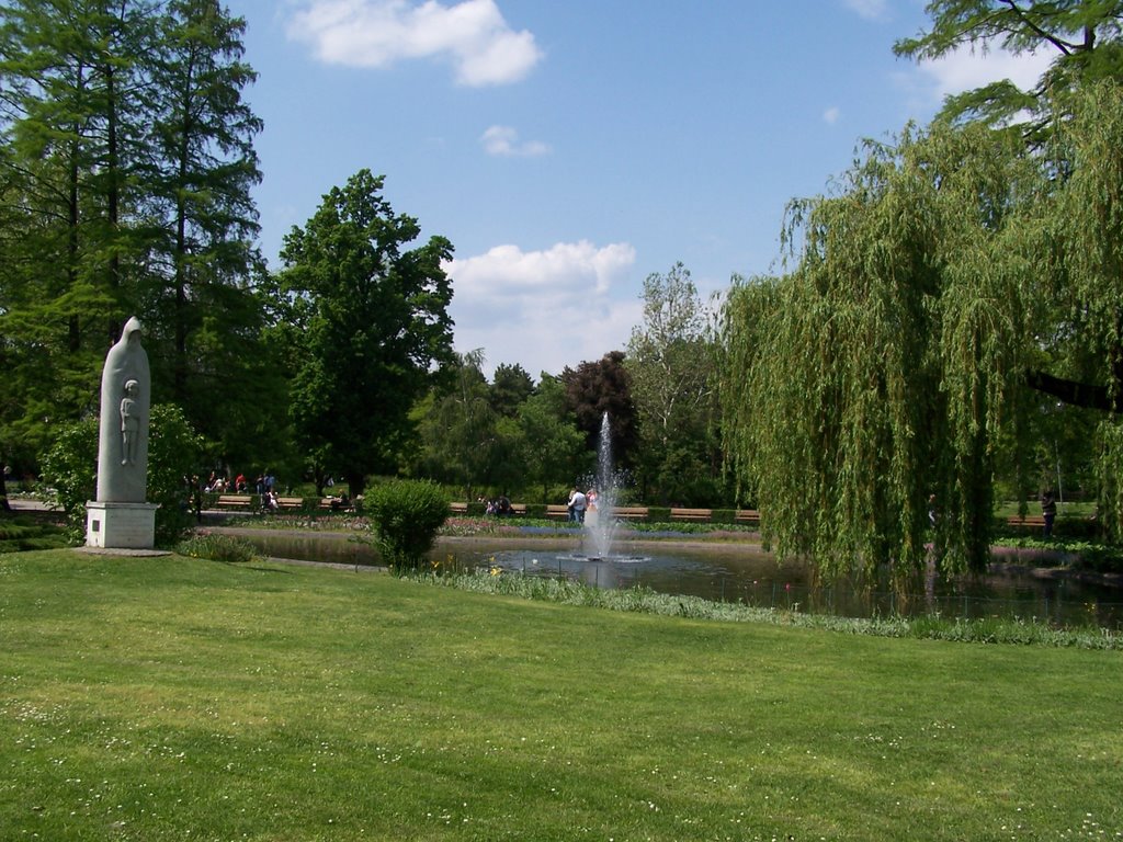 Swan Lake at Dunavski Park 1, Novi Sad, Serbia, Нови-Сад
