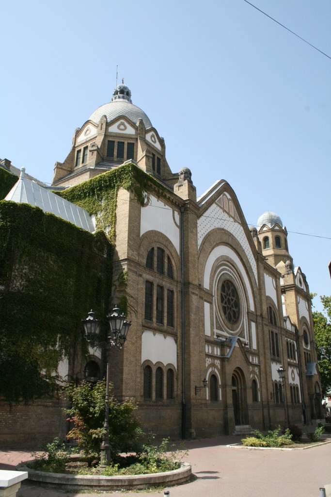 Sinagoga, Novi Sad, Нови-Сад