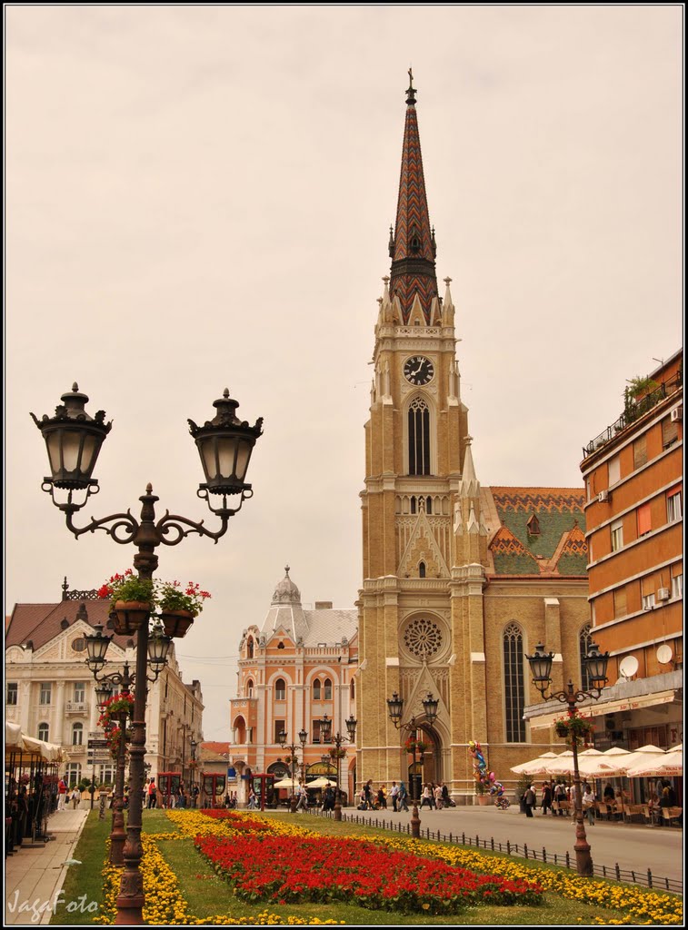 Фото Novi Sad в городе Нови-Сад.