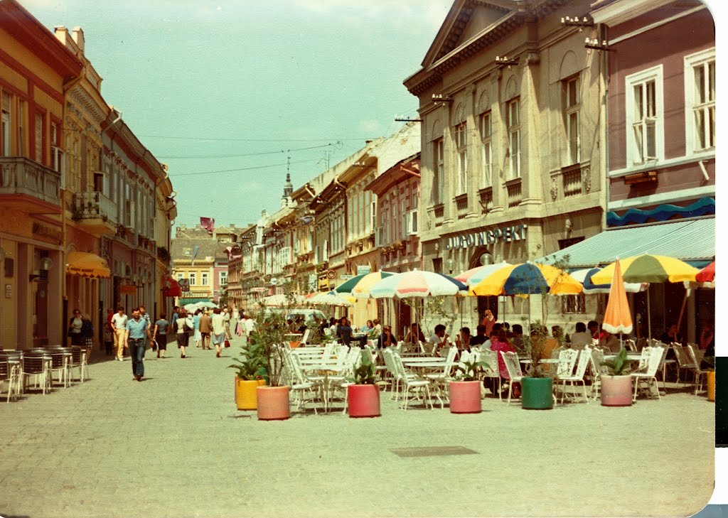 Centro Novid Sad, Servia - 1983 -  Ex Yugoslavia, Нови-Сад