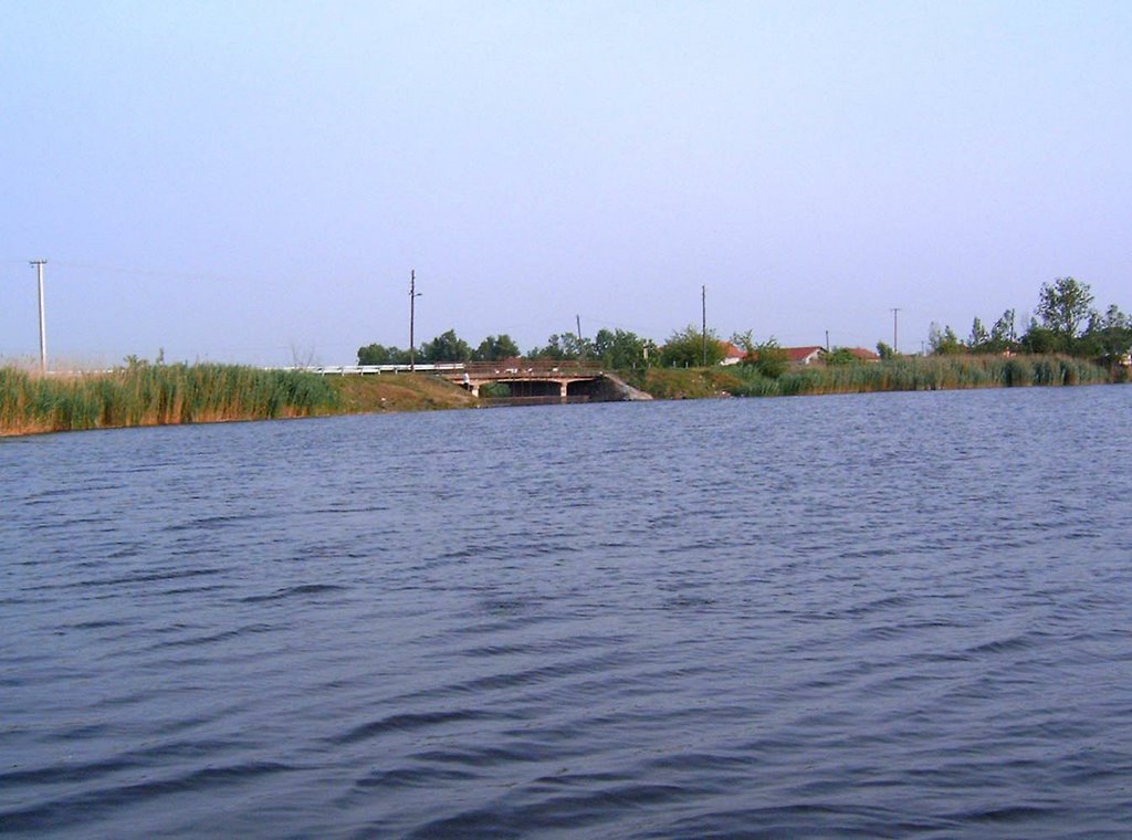 Most na Jegrickoj, Панцево