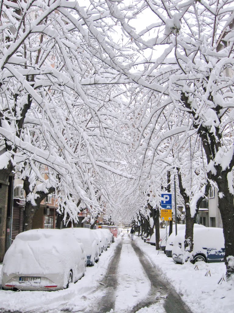 First snow in Belgrade, Белград