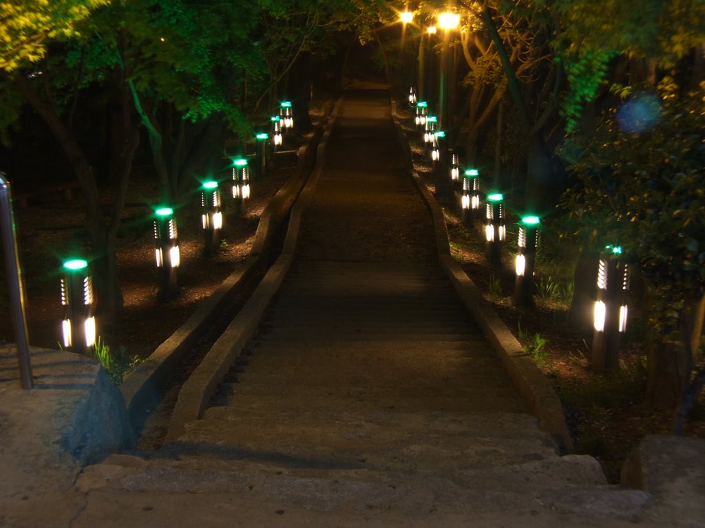 Night View in "Moon Light" Park Stairway "군산 월명공원 수시탑 계단 야간촬영 사진", Кунсан