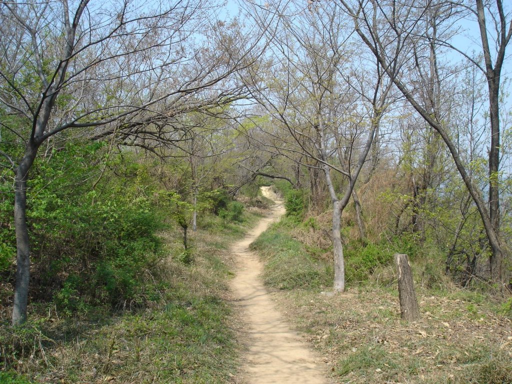 path on hill, Масан