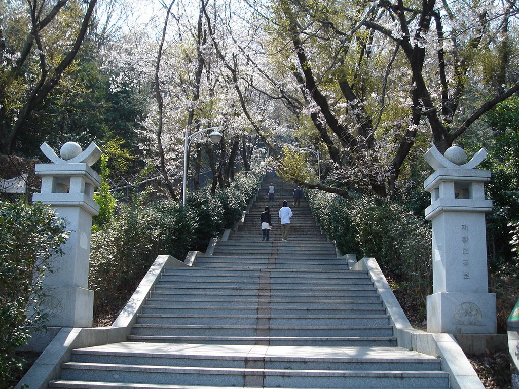 중앙시장쪽에서 제황산 오르는 계단, Чинхэ