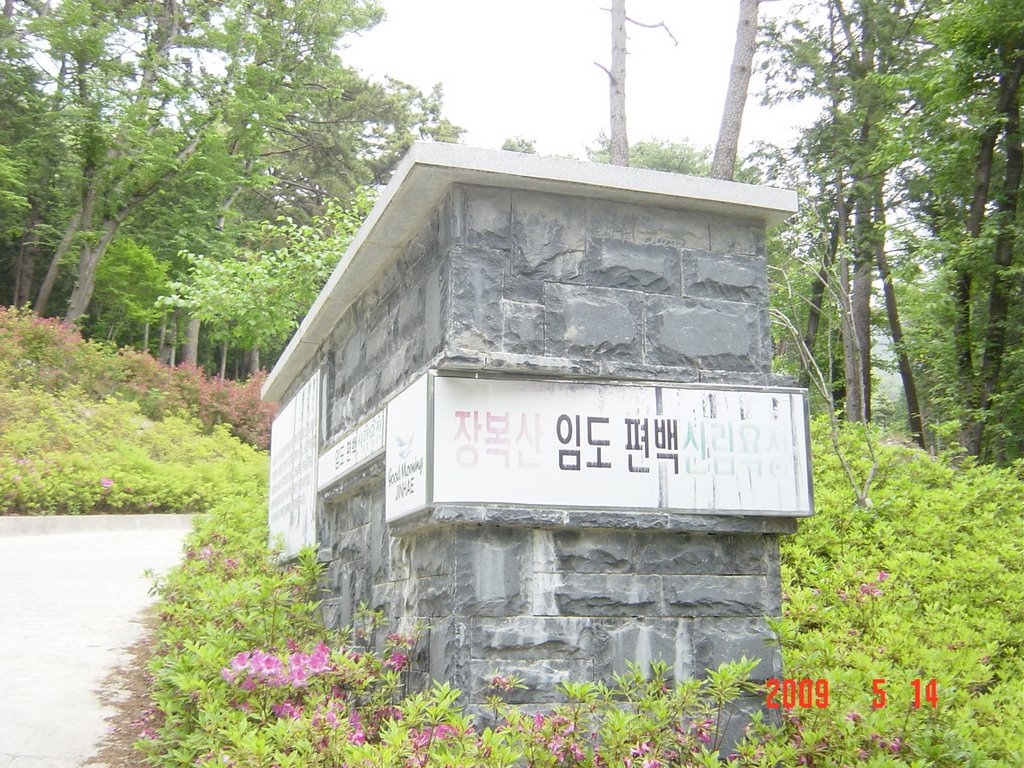 장복산임도편백산림욕장, Чинхэ