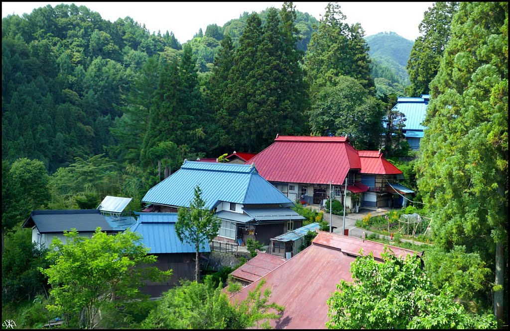 Remote but Hightech Kurimoto Hamlet, Ogawa Village, Ичиномия