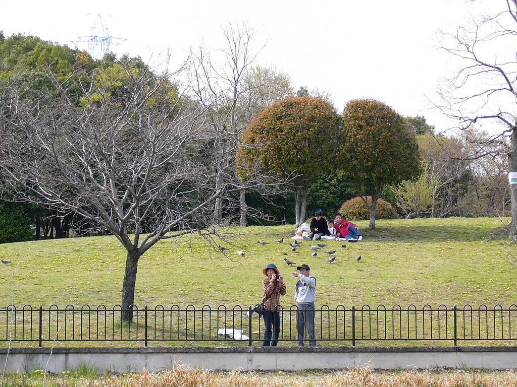 Asamiya park　朝宮公園, Касугаи