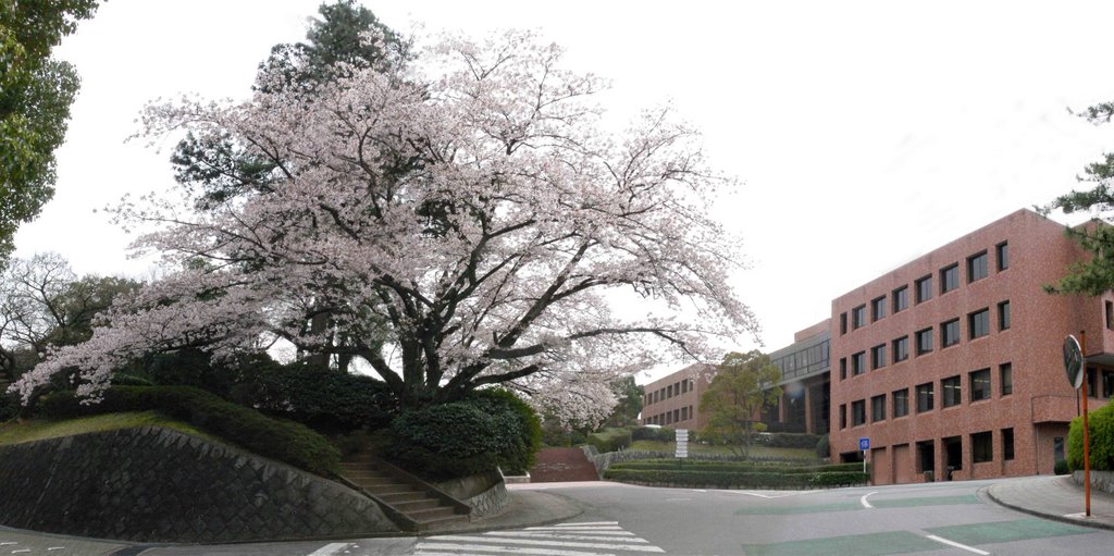 Institute for Molecular Science, Оказаки