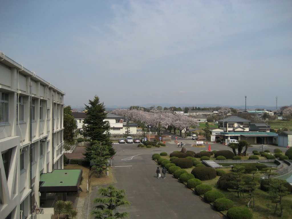 校舎3階より桜並木を眺める, Тойота