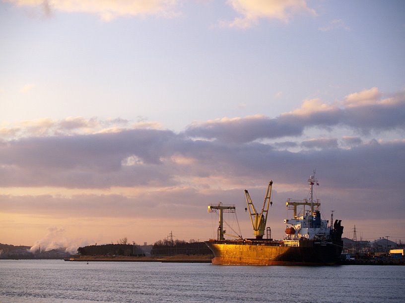 dawn of port, Иокот