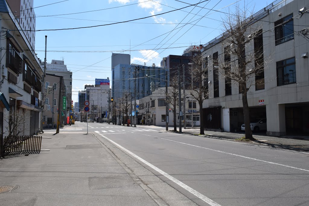 Aomori Street view, Гошогавара