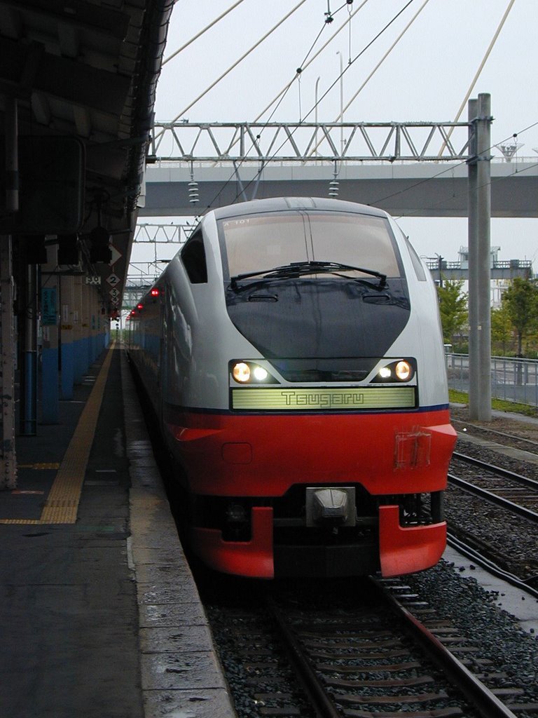 "Tugaru" in The Aomori station of rain, Гошогавара