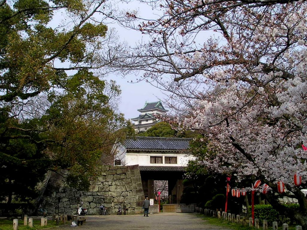 和歌山城 Wakayama Castle, Вакэйама