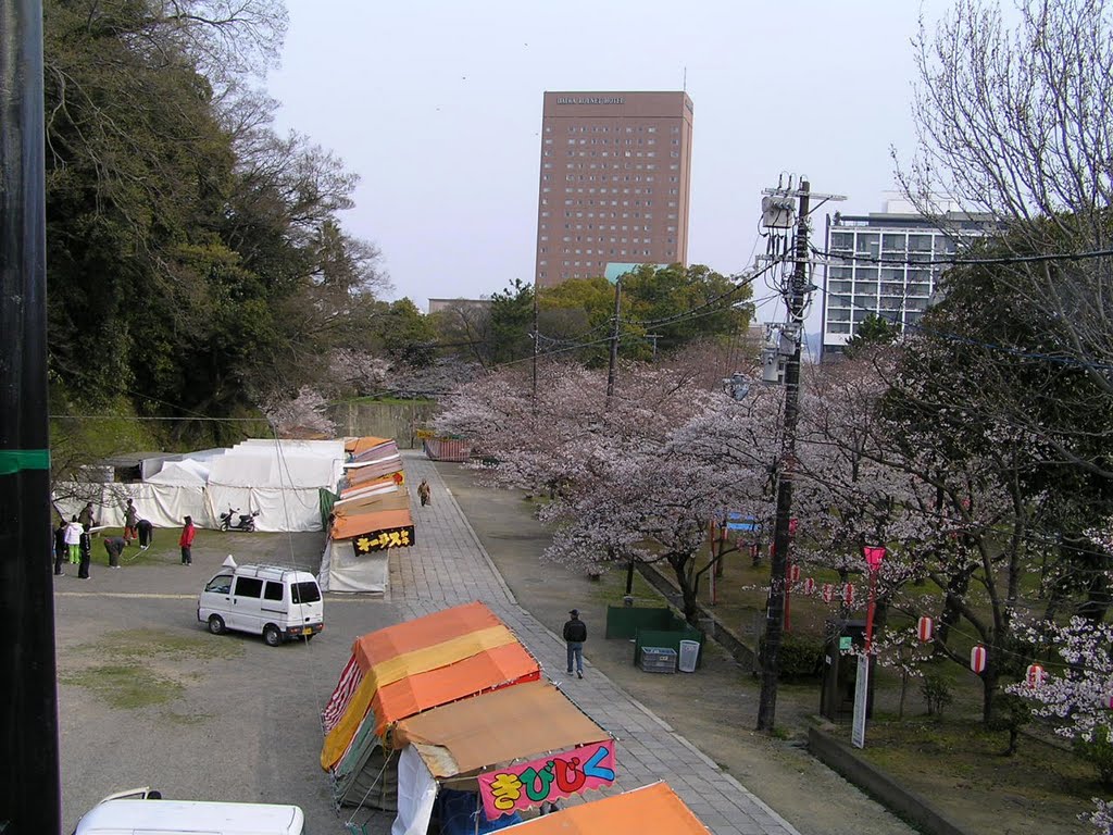 和歌山城　桜, Вакэйама