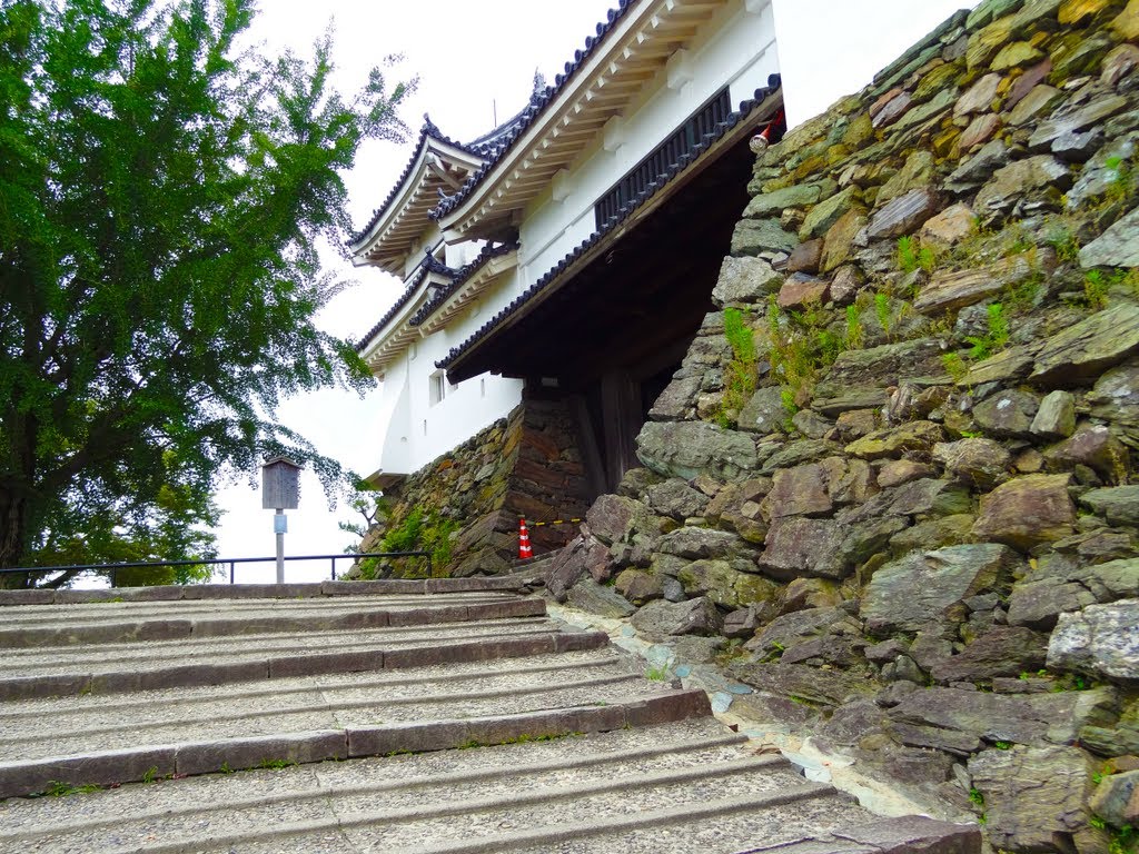 楠門 - Kusunoki gate, Вакэйама
