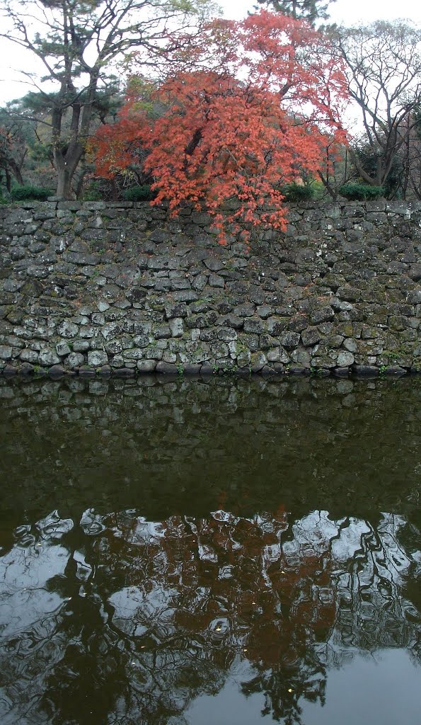 お堀と石垣と紅葉, Вакэйама