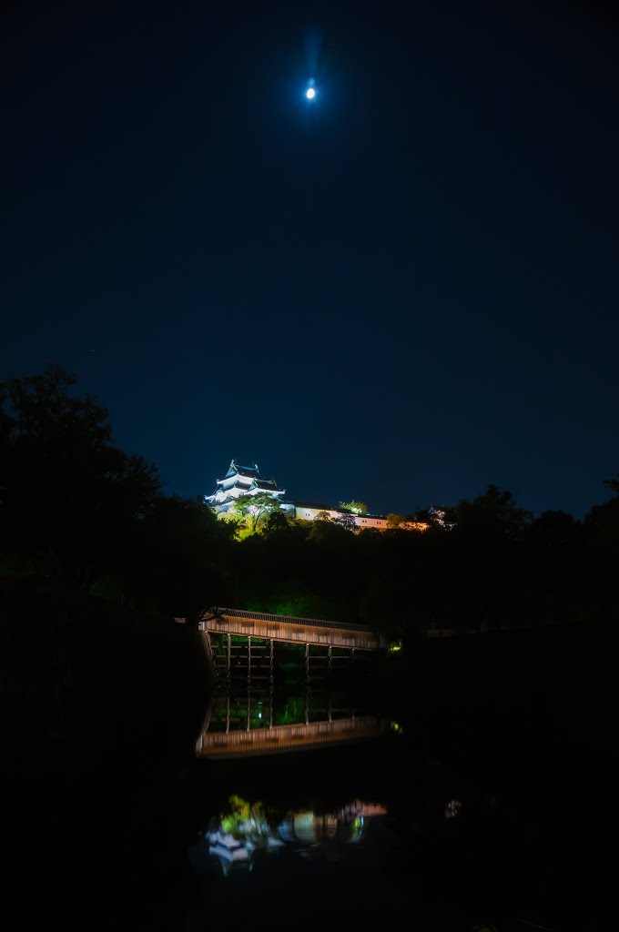城の月夜, Вакэйама