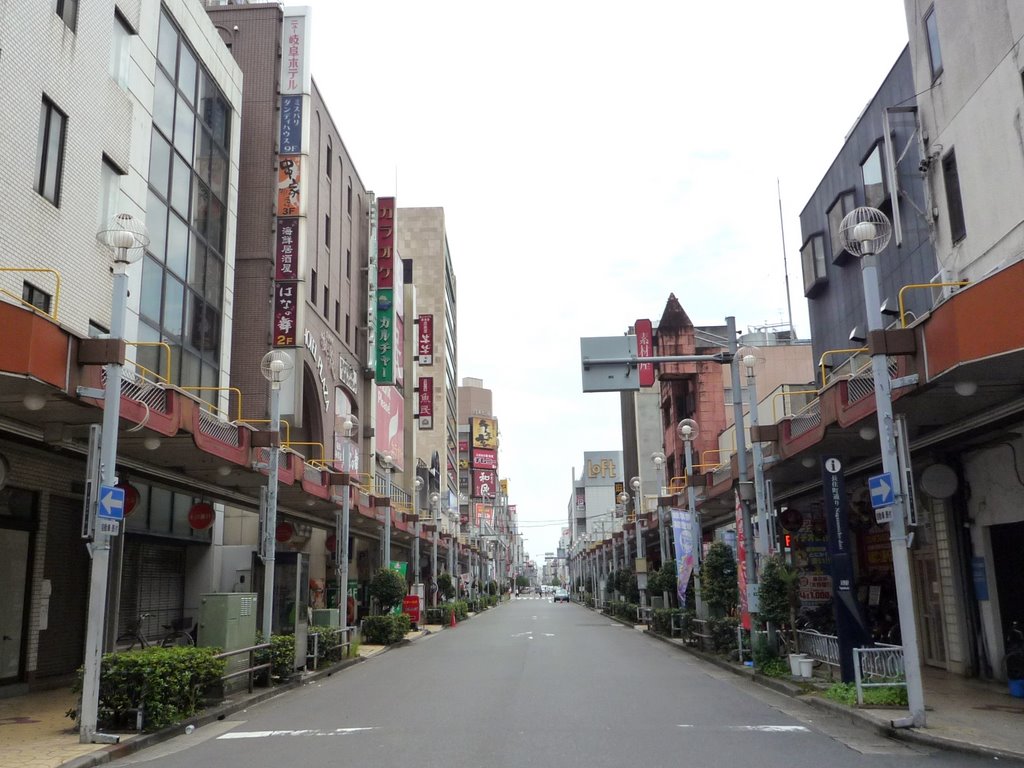 Nagazumicho Street 長住町通り, Гифу