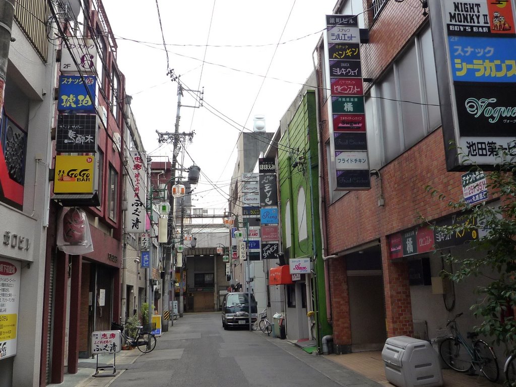 Shirogane-machi Street 銀町通り, Гифу