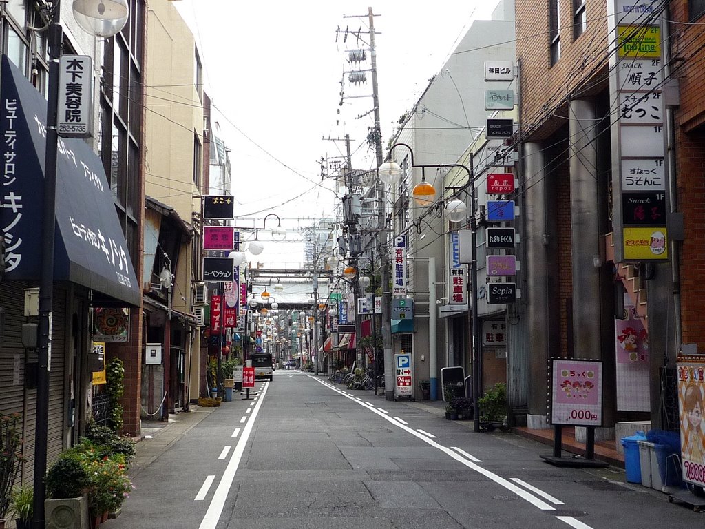 Nishi-Yanagase Takanomachi Street 西柳ヶ瀬高野町通り, Гифу